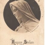 Virgin Mary-Respice Stellam Copyright TCW